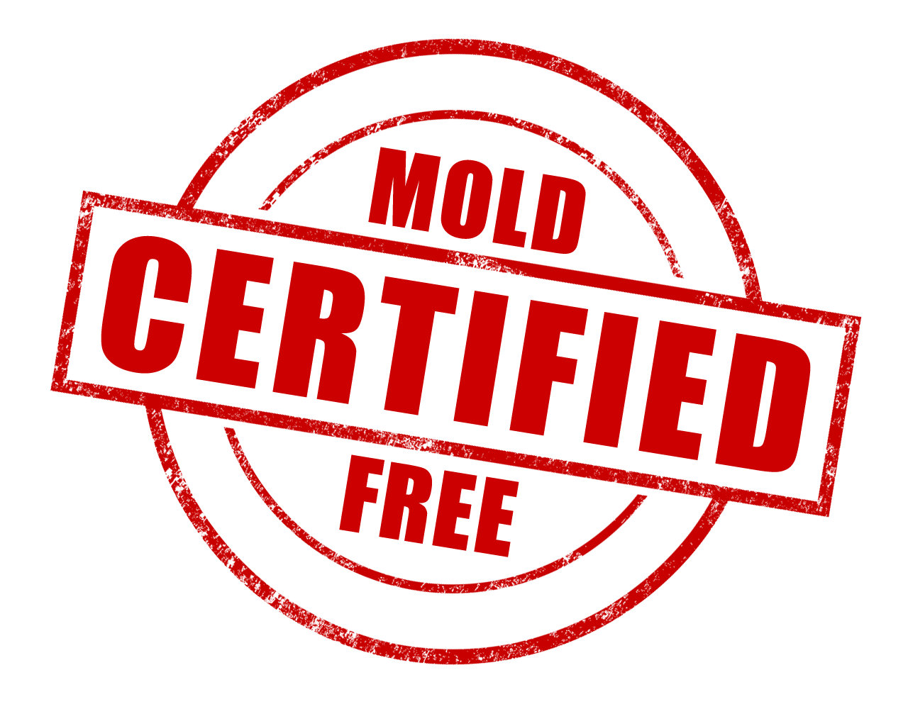 mold remediation technician