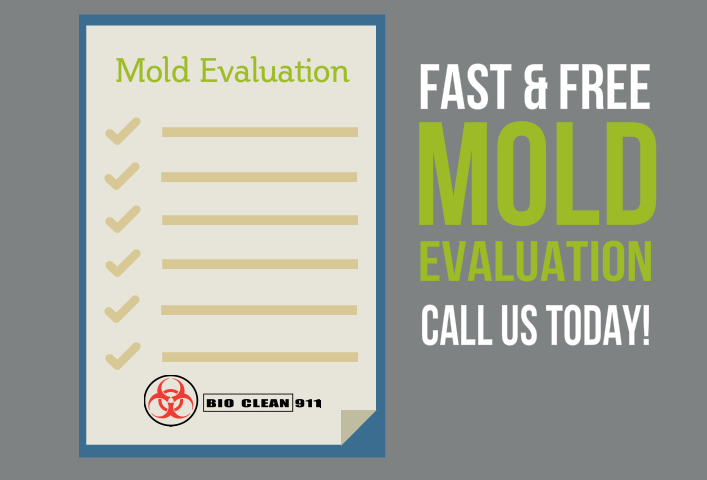 mold testing st louis