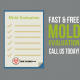 mold testing st louis
