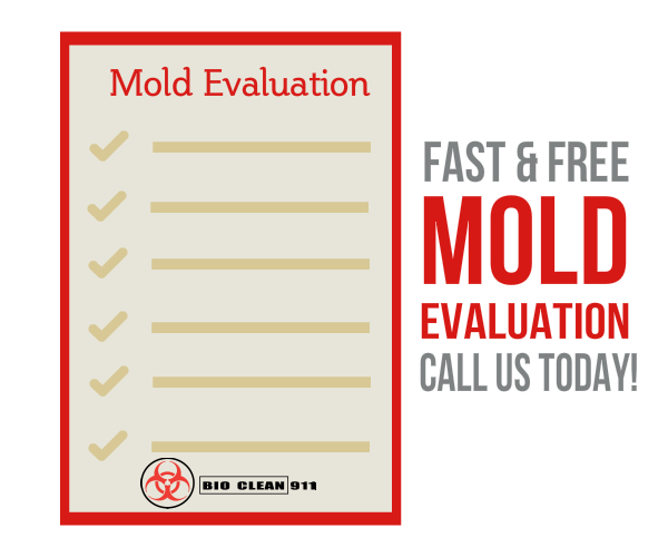 mold testing companies st louis